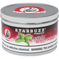 Starbuzz Shisha Tobacco 100g Wild Mint - Hookah Lounges