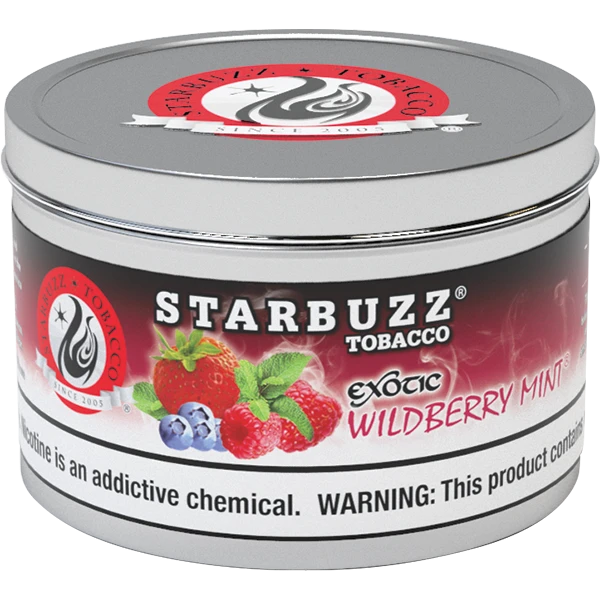 Starbuzz Shisha Tobacco 100g Winter Fresh - Hookah Lounges