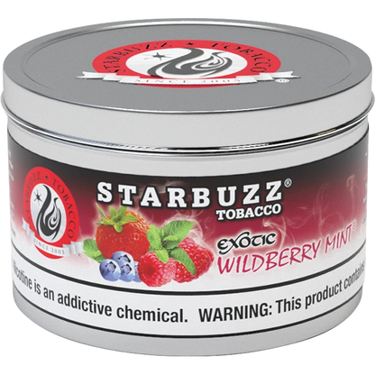 Starbuzz Shisha Tobacco 100g Winter Fresh - Hookah Lounges