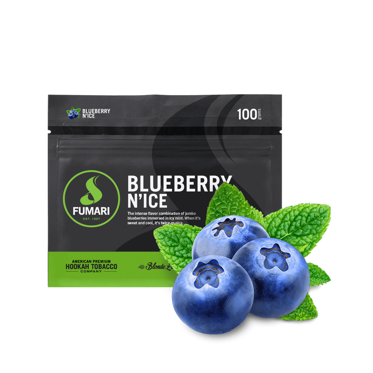 Fumari Shisha 100g Blueberry N'Ice - Hookah Lounges