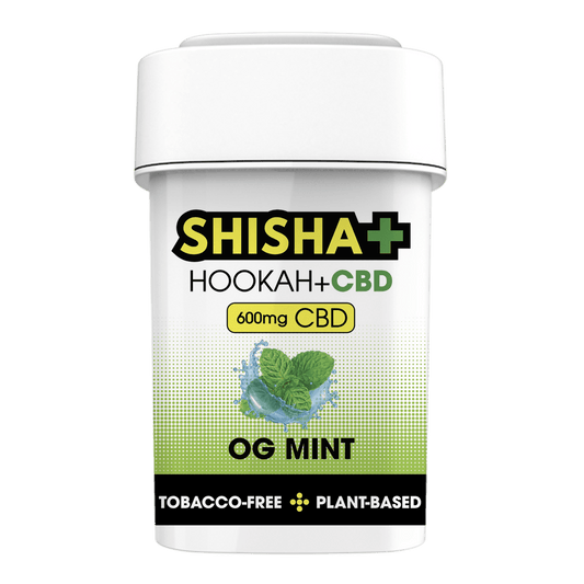 Shisha+ CBD Infused Shisha OG Mint 100g - Hookah Lounges